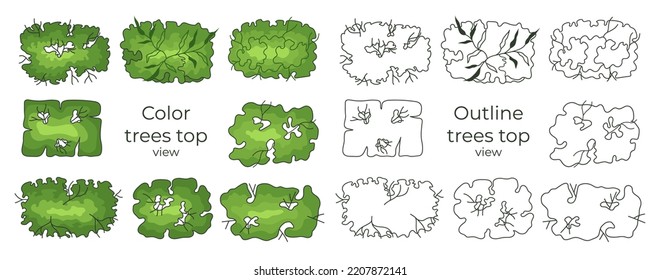 Tree for architectural floor plans. Entourage design. Various trees, bushes, and shrubs, top view for the landscape design plan. Vector illustration.