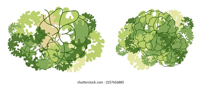 Tree for architectural floor plans. Entourage design. Various trees, bushes, and shrubs, top view for the landscape design plan. Vector illustration.