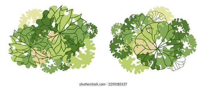 Tree for architectural floor plans. Entourage design. Various trees, bushes, and shrubs, top view for the landscape design plan. Vector illustration.