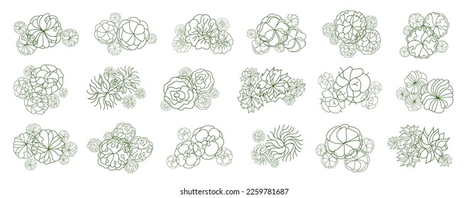 Tree for architectural floor plans. Entourage design. Various trees, bushes, and shrubs, top view for the landscape design plan. Vector illustration.