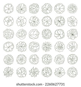 Tree for architectural floor plans. Entourage design. Various trees, bushes, and shrubs, top view for the landscape design plan. Vector illustration.