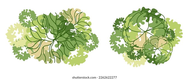 Tree for architectural floor plans. Entourage design. Various trees, bushes, and shrubs, top view for the landscape design plan. Vector illustration.