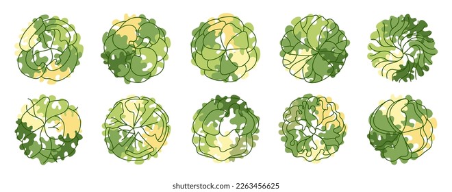 Tree for architectural floor plans. Entourage design. Various trees, bushes, and shrubs, top view for the landscape design plan. Vector illustration.