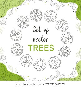 Tree for architectural floor plans. Entourage design. Various trees, bushes, and shrubs, top view for the landscape design plan. Vector illustration.