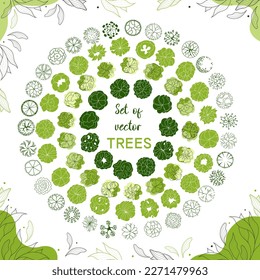 Tree for architectural floor plans. Entourage design. Various trees, bushes, and shrubs, top view for the landscape design plan. Vector illustration.