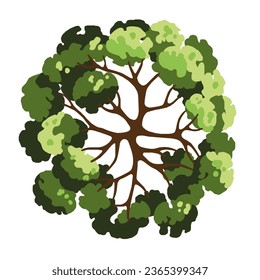 Tree for architectural floor plans. Entourage design. Top view for the landscape design plan. Vector illustration.