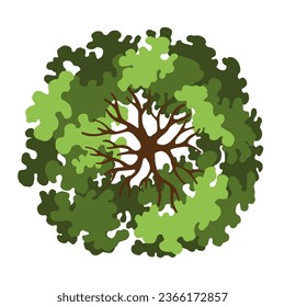 Tree for architectural floor plans. Entourage design. Top view for the landscape design plan. Vector illustration.