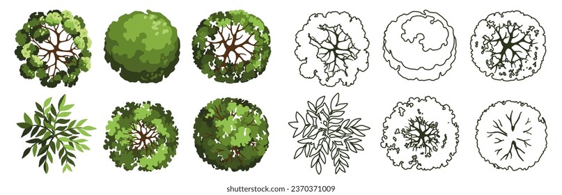 Baum für Grundrisse der Architektur. Entourage Design. Verschiedene Bäume, Sträucher und Sträucher, Draufsicht für den Landschaftsplan. Vektorgrafik.