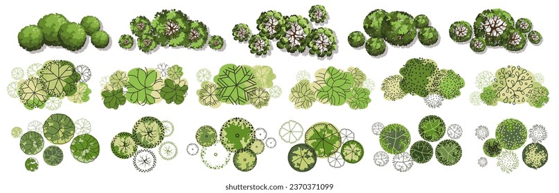 Tree for architectural floor plans. Entourage design. Various trees, bushes, and shrubs, top view for the landscape design plan. Vector illustration.