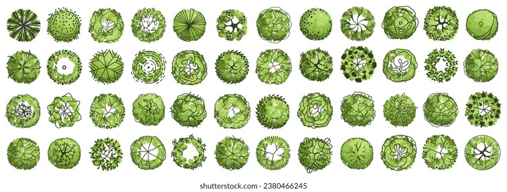 Tree for architectural floor plans. Entourage design. Various trees, bushes, and shrubs, top view for the landscape design plan. Vector illustration.