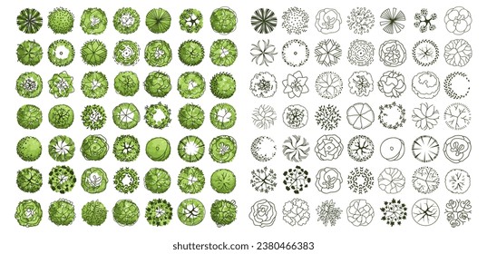 Tree for architectural floor plans. Entourage design. Various trees, bushes, and shrubs, top view for the landscape design plan. Vector illustration.