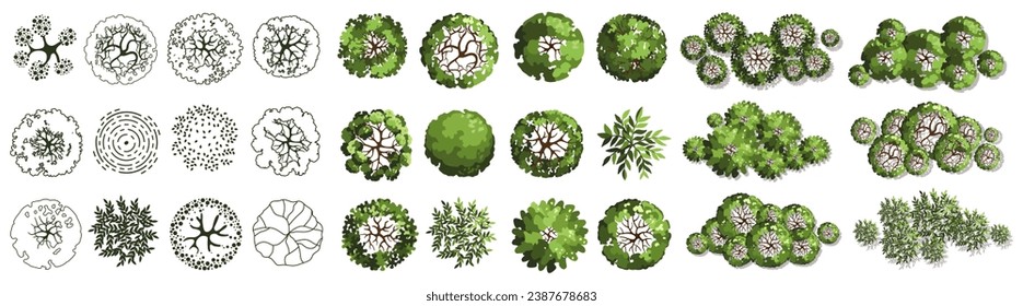 Tree for architectural floor plans. Entourage design. Various trees, bushes, and shrubs, top view for the landscape design plan. Vector illustration.