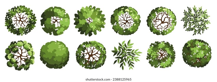 Tree for architectural floor plans. Entourage design. Various trees, bushes, and shrubs, top view for the landscape design plan. Vector illustration.