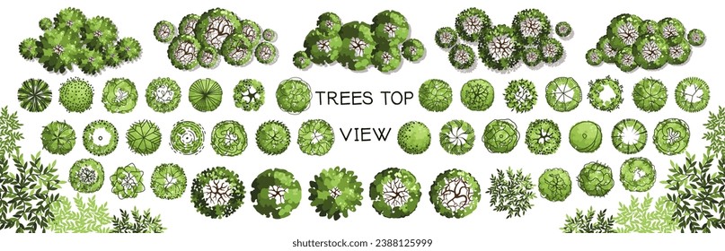 Tree for architectural floor plans. Entourage design. Various trees, bushes, and shrubs, top view for the landscape design plan. Vector illustration.