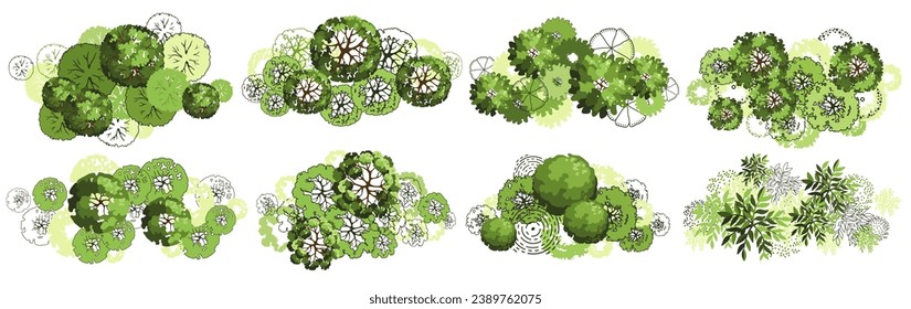 Tree for architectural floor plans. Entourage design. Various trees, bushes, and shrubs, top view for the landscape design plan. Vector illustration.