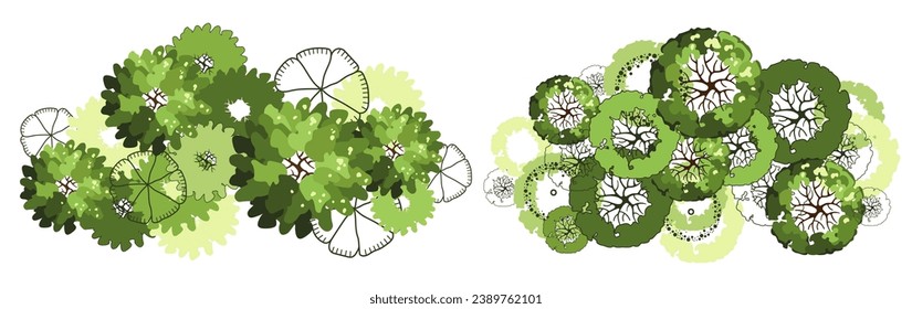 Tree for architectural floor plans. Entourage design. Various trees, bushes, and shrubs, top view for the landscape design plan. Vector illustration.