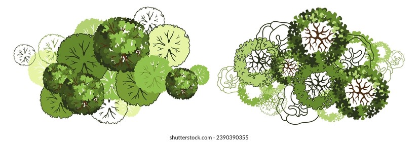 Tree for architectural floor plans. Entourage design. Various trees, bushes, and shrubs, top view for the landscape design plan. Vector illustration.