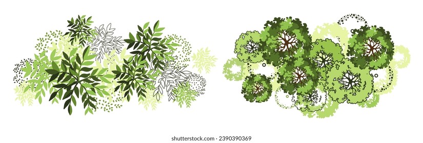 Tree for architectural floor plans. Entourage design. Various trees, bushes, and shrubs, top view for the landscape design plan. Vector illustration.