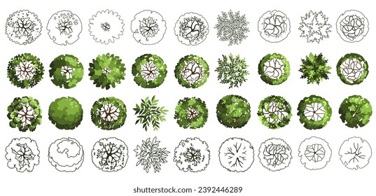 Tree for architectural floor plans. Entourage design. Various trees, bushes, and shrubs, top view for the landscape design plan. Vector illustration.