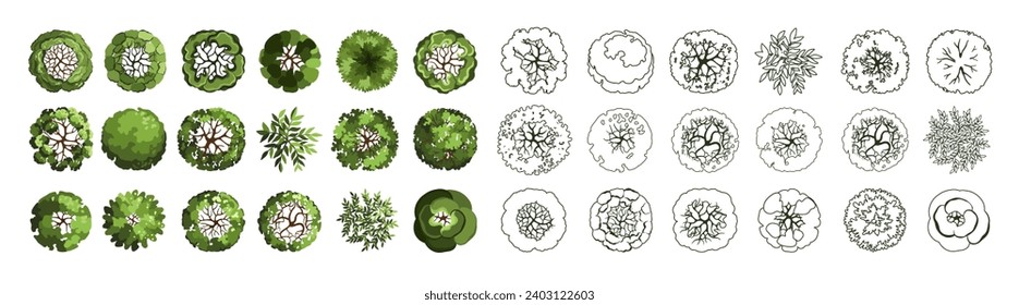 Tree for architectural floor plans. Entourage design. Various trees, bushes, and shrubs, top view for the landscape design plan. Vector illustration.