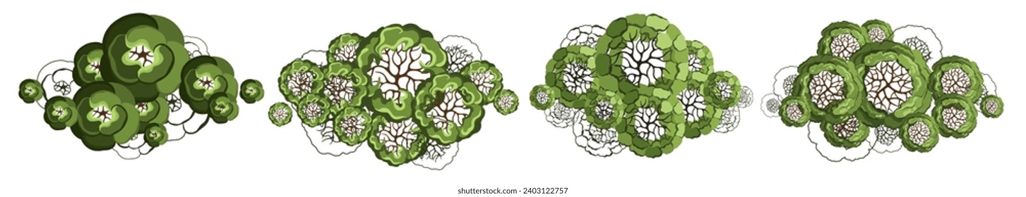 Baum für Grundrisse der Architektur. Entourage Design. Verschiedene Bäume, Sträucher und Sträucher, Draufsicht für den Landschaftsplan. Vektorgrafik.