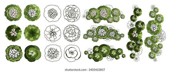 Tree for architectural floor plans. Entourage design. Various trees, bushes, and shrubs, top view for the landscape design plan. Vector illustration.