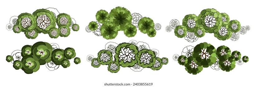 Tree for architectural floor plans. Entourage design. Various trees, bushes, and shrubs, top view for the landscape design plan. Vector illustration.