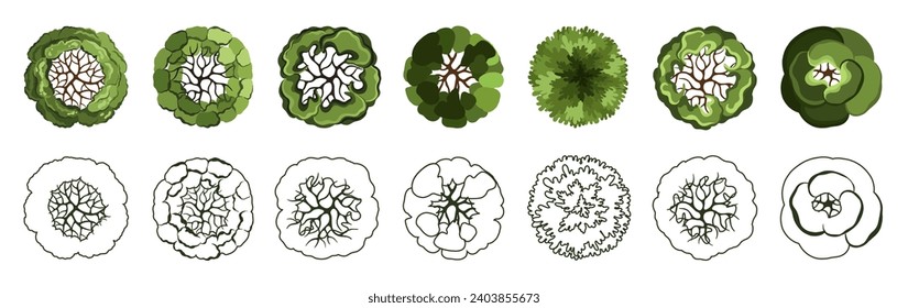 Tree for architectural floor plans. Entourage design. Various trees, bushes, and shrubs, top view for the landscape design plan. Vector illustration.