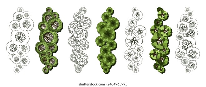 Tree for architectural floor plans. Entourage design. Various trees, bushes, and shrubs, top view for the landscape design plan. Vector illustration.