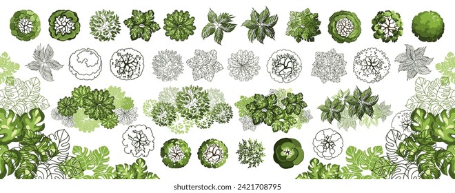 Tree for architectural floor plans. Entourage design. Various trees, bushes, and shrubs, top view for the landscape design plan. Vector illustration.