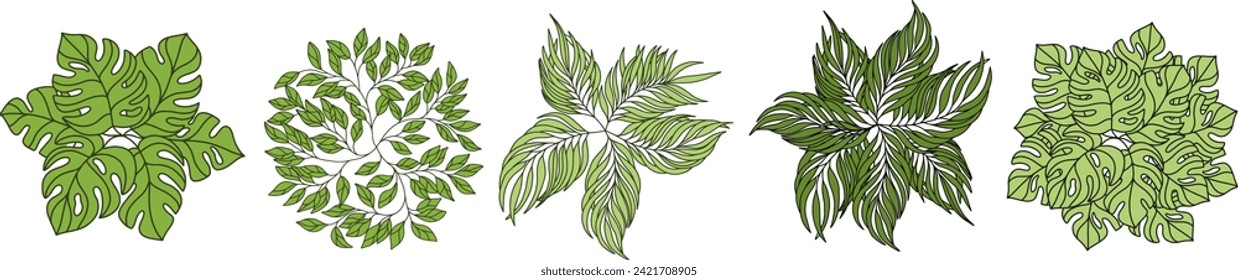 Tree for architectural floor plans. Entourage design. Various trees, bushes, and shrubs, top view for the landscape design plan. Vector illustration.