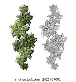 Tree for architectural floor plans. Entourage design. Various trees, bushes, and shrubs, top view for the landscape design plan. Vector illustration.
