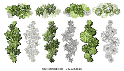 Tree for architectural floor plans. Entourage design. Various trees, bushes, and shrubs, top view for the landscape design plan. Vector illustration.