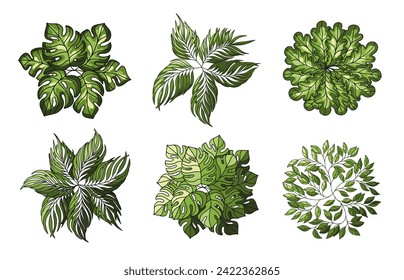 Tree for architectural floor plans. Entourage design. Various trees, bushes, and shrubs, top view for the landscape design plan. Vector illustration.