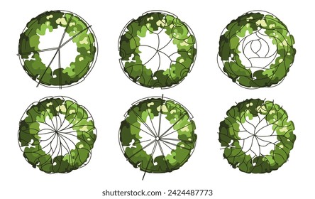 Tree for architectural floor plans. Entourage design. Various trees, bushes, and shrubs, top view for the landscape design plan. Vector illustration.