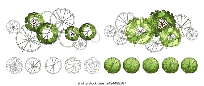 Tree for architectural floor plans. Entourage design. Various trees, bushes, and shrubs, top view for the landscape design plan. Vector illustration.