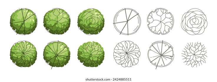 Tree for architectural floor plans. Entourage design. Various trees, bushes, and shrubs, top view for the landscape design plan. Vector illustration.