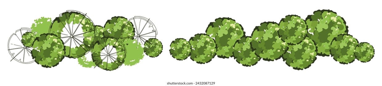 Tree for architectural floor plans. Entourage design. Various trees, bushes, and shrubs, top view for the landscape design plan. Vector illustration.