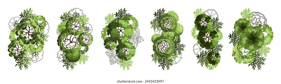 Árbol para planos de planta arquitectónicos. Diseño de séquito. Varios árboles, arbustos y arbustos, vista superior para el plan de diseño del paisaje. Ilustración vectorial.