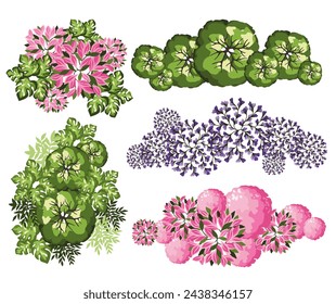 Tree for architectural floor plans. Entourage design. Various trees, bushes, and shrubs, top view for the landscape design plan. Vector illustration.