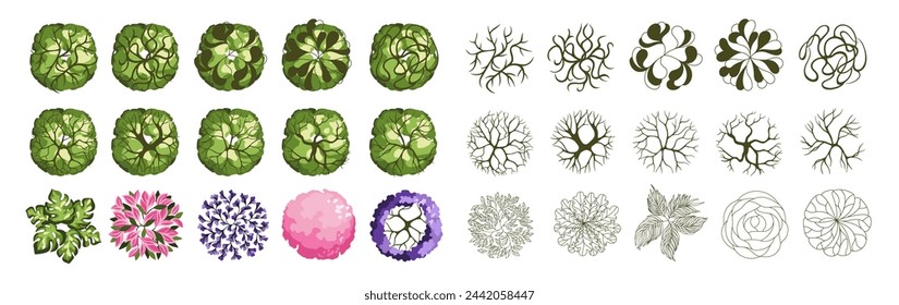 Tree for architectural floor plans. Entourage design. Various trees, bushes, and shrubs, top view for the landscape design plan. Vector illustration.