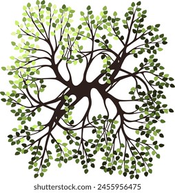 Tree for architectural floor plans. Entourage design. Top view tree for the landscape design plan. Vector illustration.