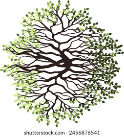 Tree for architectural floor plans. Entourage design. Various trees, bushes, and shrubs, top view for the landscape design plan. Vector illustration.