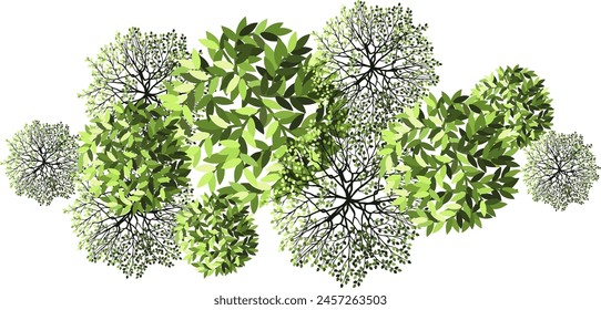Tree for architectural floor plans. Entourage design. Various trees, bushes, and shrubs, top view for the landscape design plan. Vector illustration.