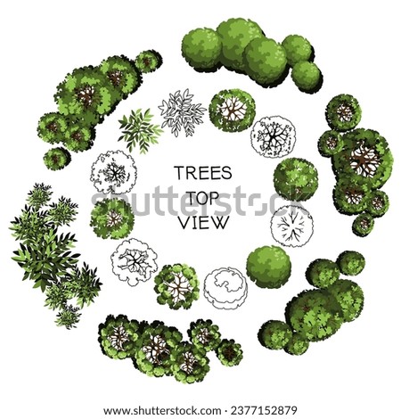 Tree for architectural floor plans. Entourage design. Various trees, bushes, and shrubs, top view for the landscape design plan. Vector illustration