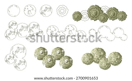 Tree for architectural floor plans. Entourage design. Various trees, bushes, and shrubs, top view for the landscape design plan. Vector illustration.