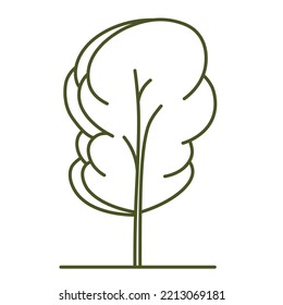 Tree for architectural plans. Entourage design. Frontal view for the landscape design plan. Vector illustration.