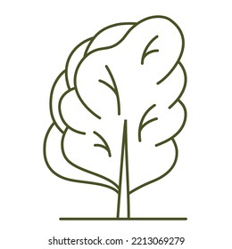 Tree for architectural plans. Entourage design. Frontal view for the landscape design plan. Vector illustration.