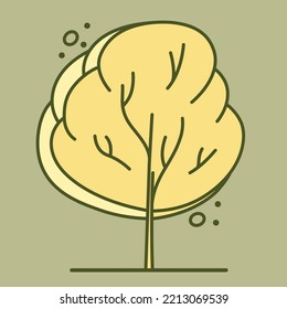 Tree for architectural plans. Entourage design. Frontal view for the landscape design plan. Vector illustration.