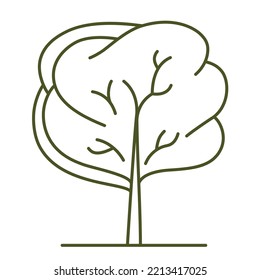 Tree for architectural plans. Entourage design. Various trees, bushes, and shrubs, frontal view for the landscape design plan. Vector illustration.